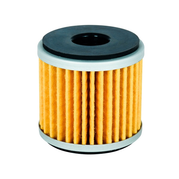 فیلتر روغن بنلی 250 تک سیلندر